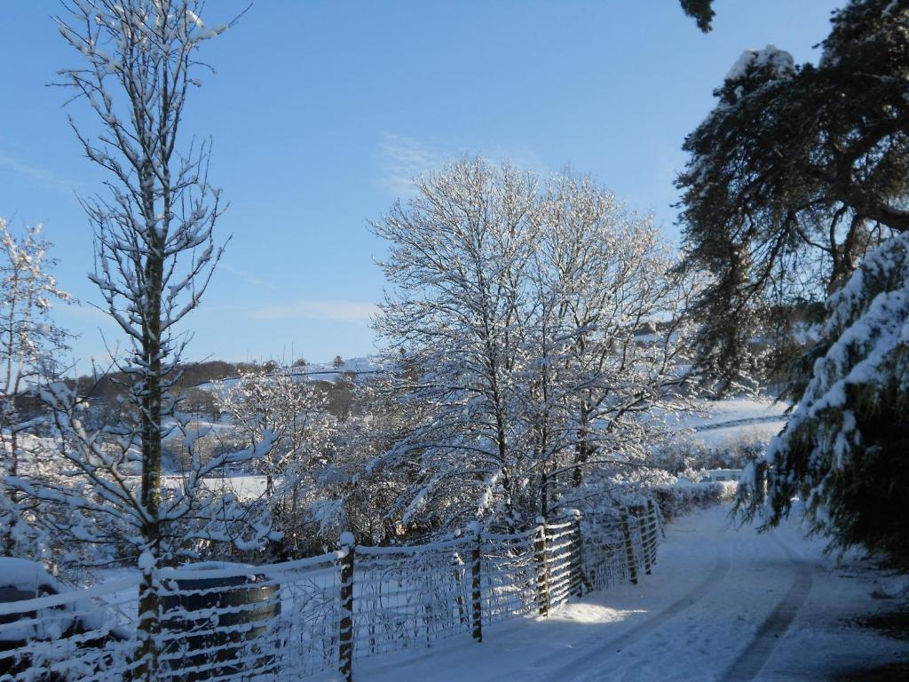 Crosslands Farm Hotell Kendal Exteriör bild